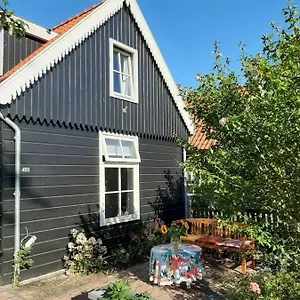 https://b-b-tulp-amsterdam-noord.amsterdamhotelsnl.com